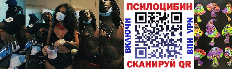 Галлюциногенные грибы мицелий  Шадринск 
