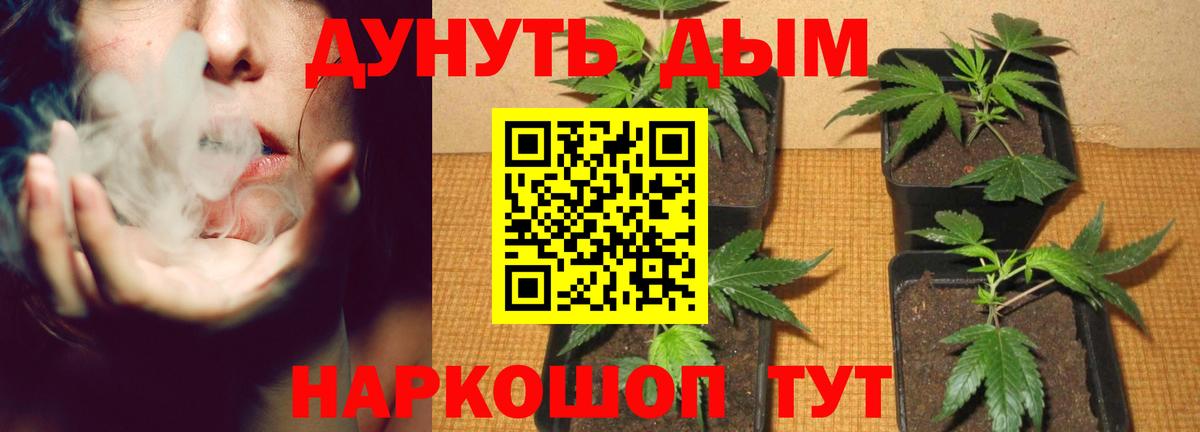ГАШ  Шадринск  Каннабис  Меф   Вход с VPN  КОКАИН 